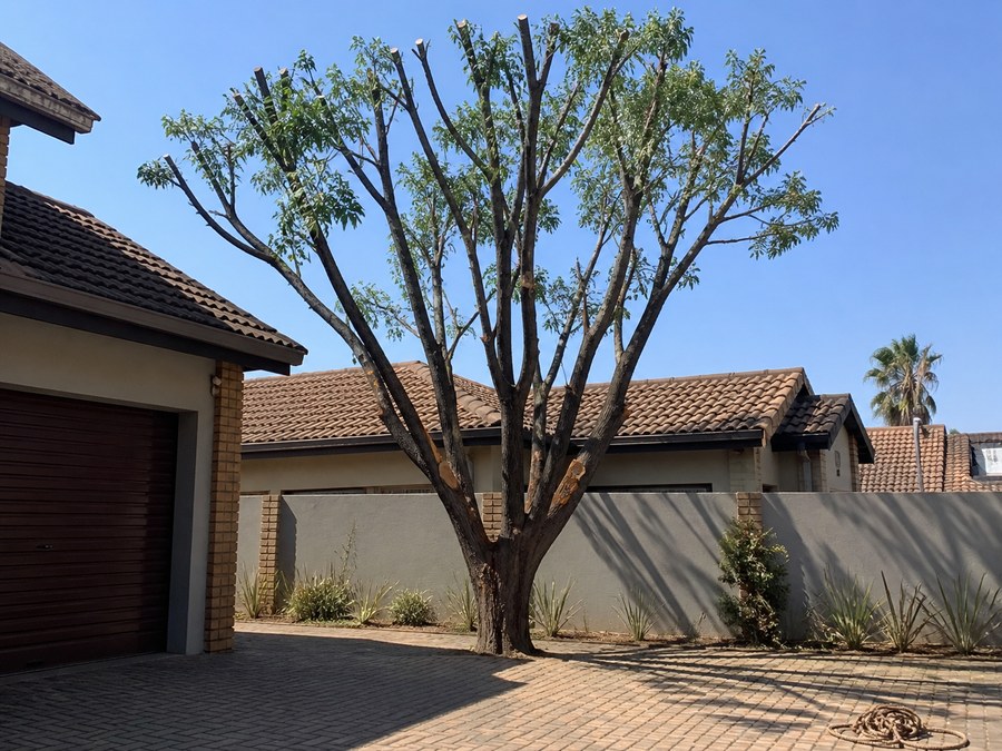 Recent project by GT Siwawa