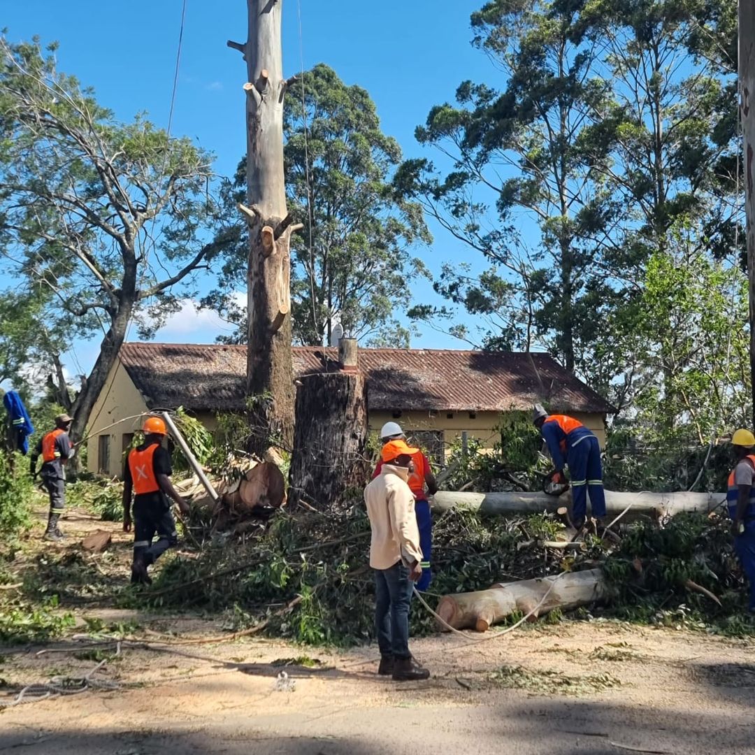 Tree Felling, Pools & House Painting in Gauteng - GT Siwawa