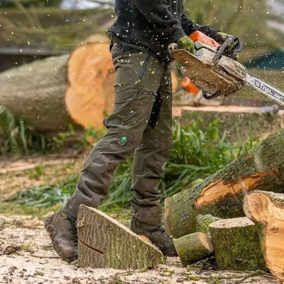 Thorn tree trunk being cut into sections in Centurion