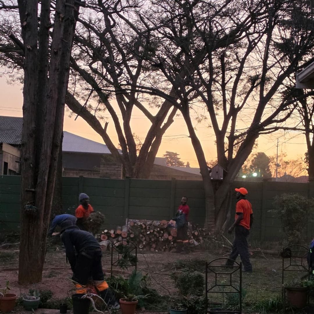 GT Siwawa team taking down a big thorn tree at a house