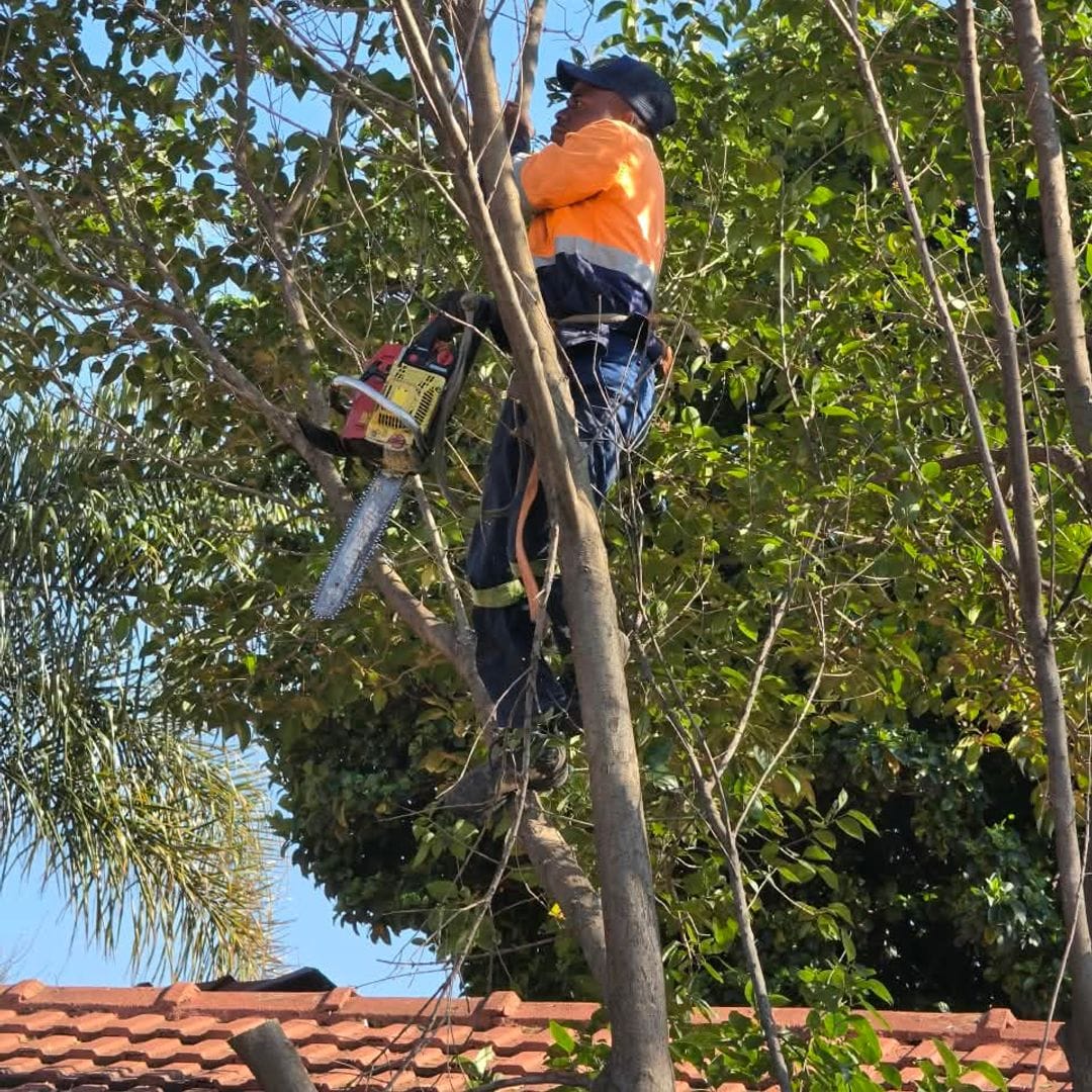 GT Siwawa climber cutting a tree close to a tiled roof