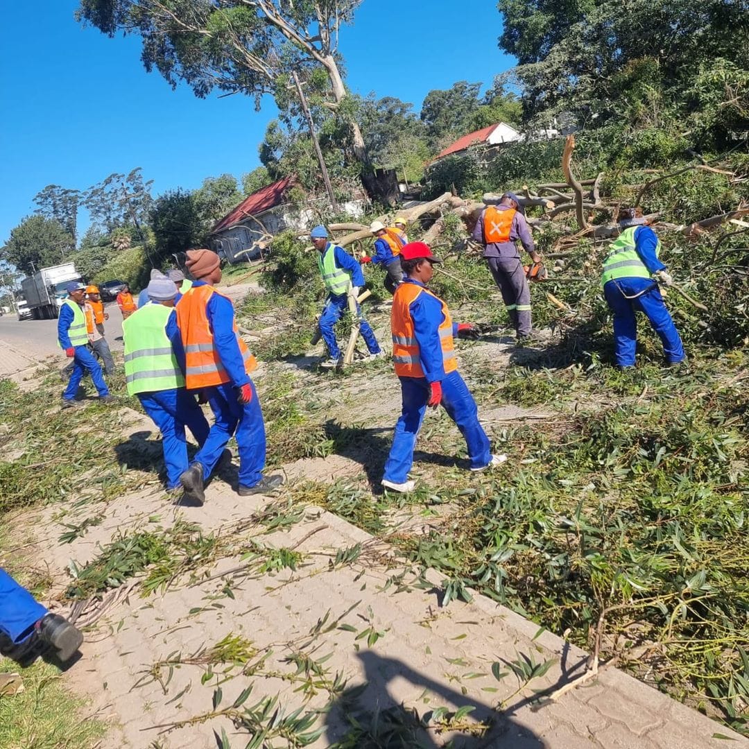 GT Siwawa team clearing branches after a large tree removal