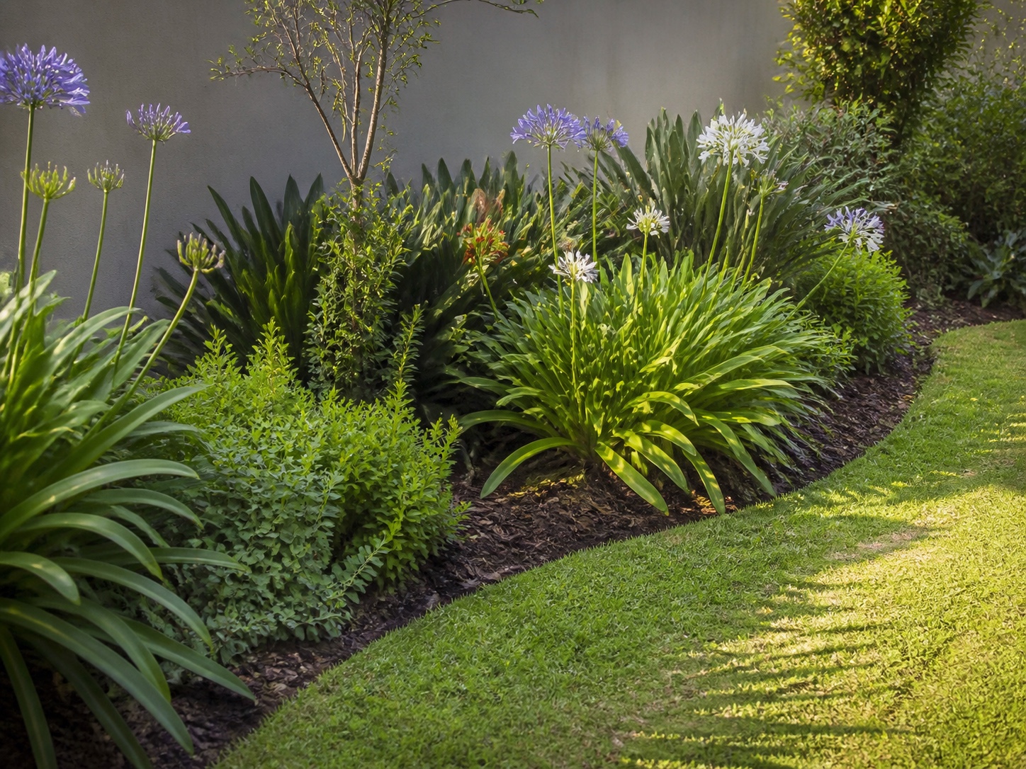 Landscaping project image 2 in Germiston