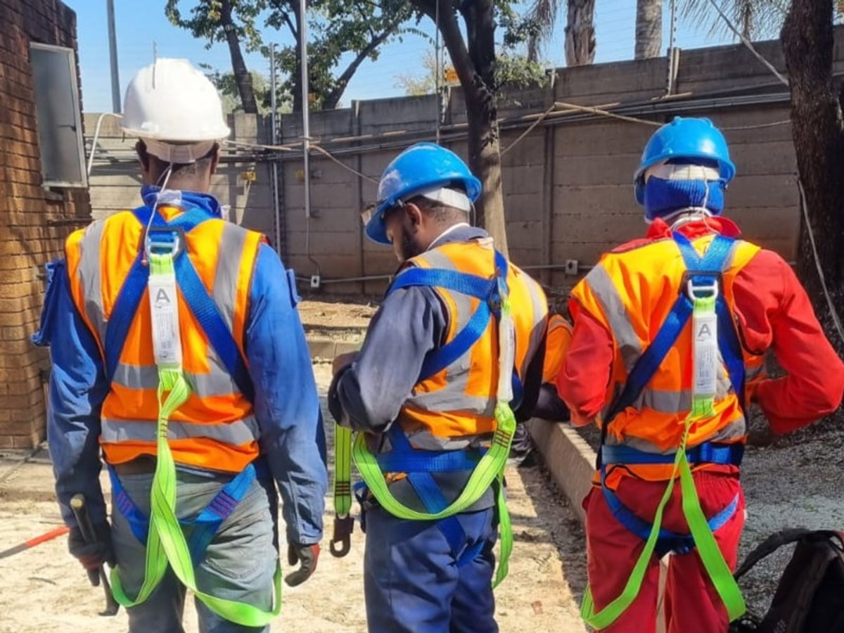 Tree Felling project image 2 in Germiston
